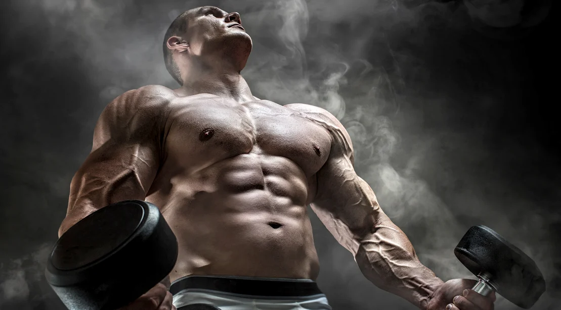 The Beginner's Guide to Bodybuilding: How to Build Your Physique